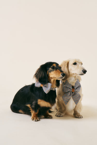 storets.com [COSONNE] Herringbone Pet Bowtie