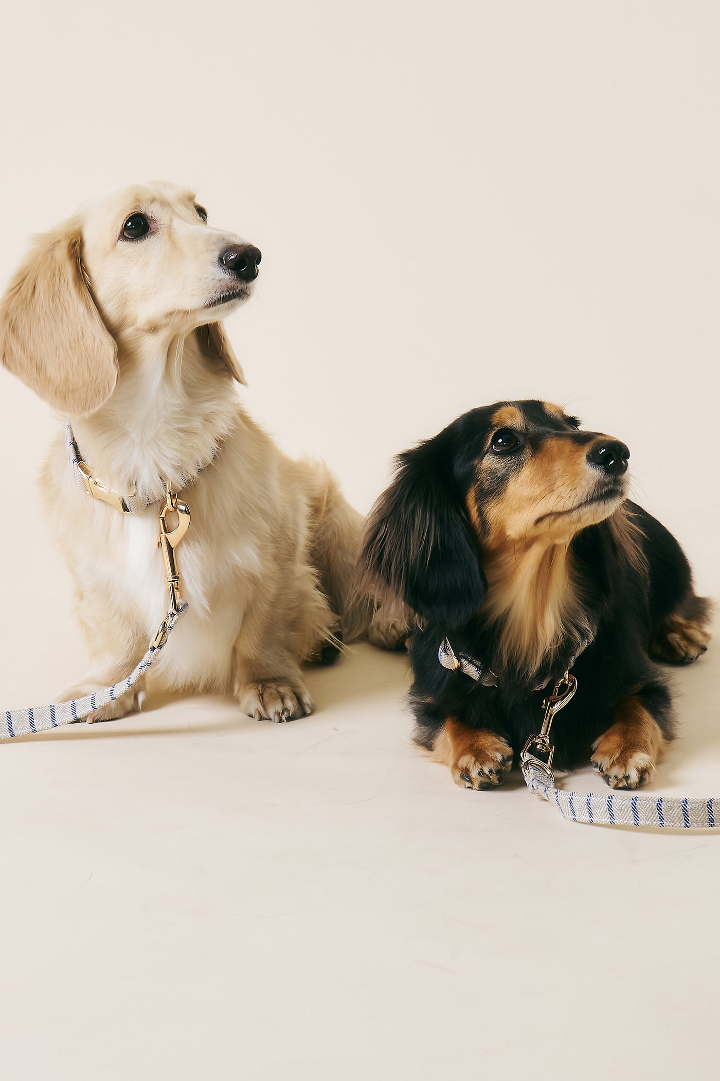 storets.com [COSONNE] Herringbone Pet Neck Collar