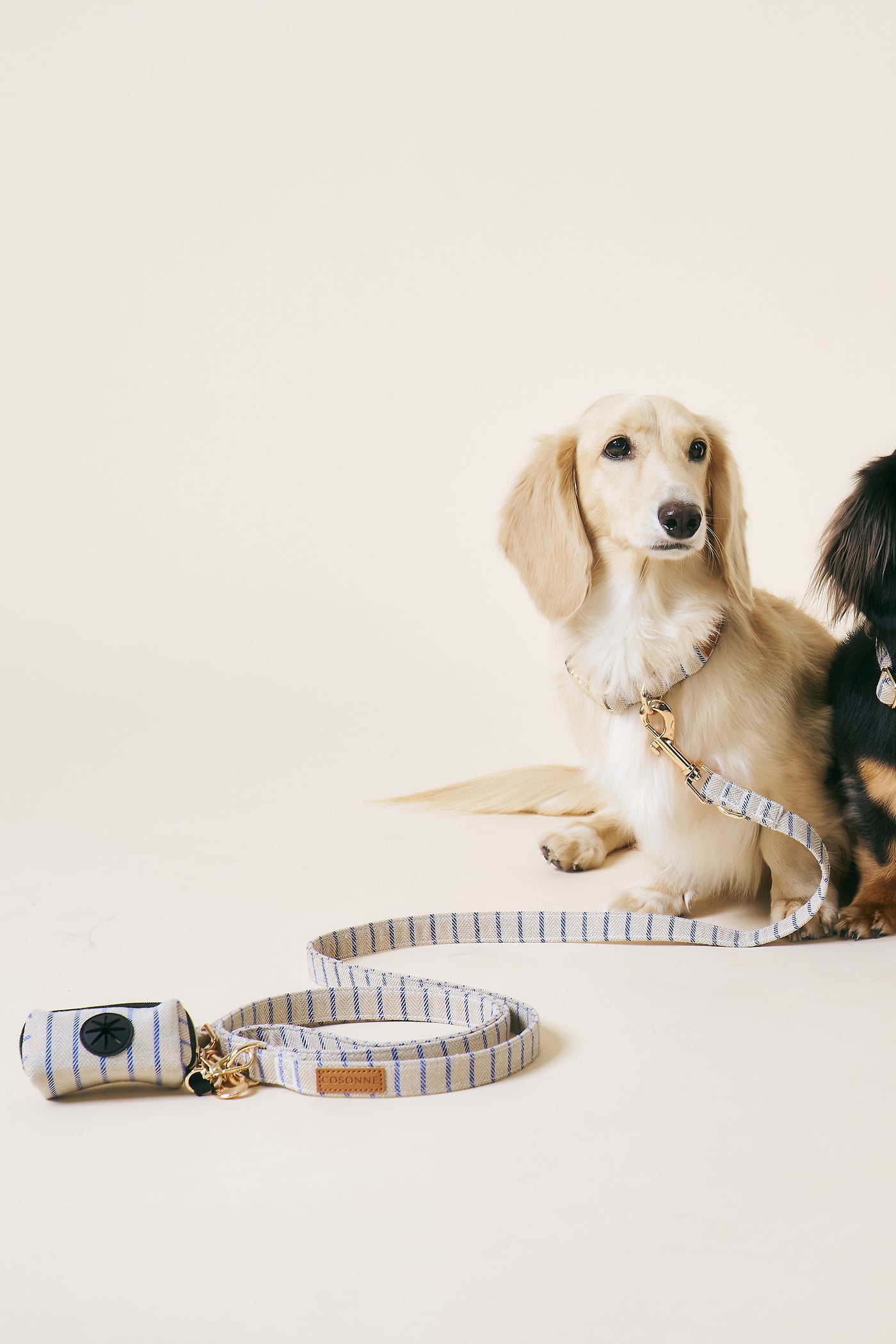 storets.com [COSONNE] Herringbone Hands-free Pet Leash