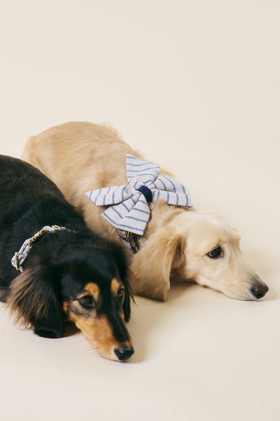 storets.com [COSONNE] Herringbone Pet Sailor Bow