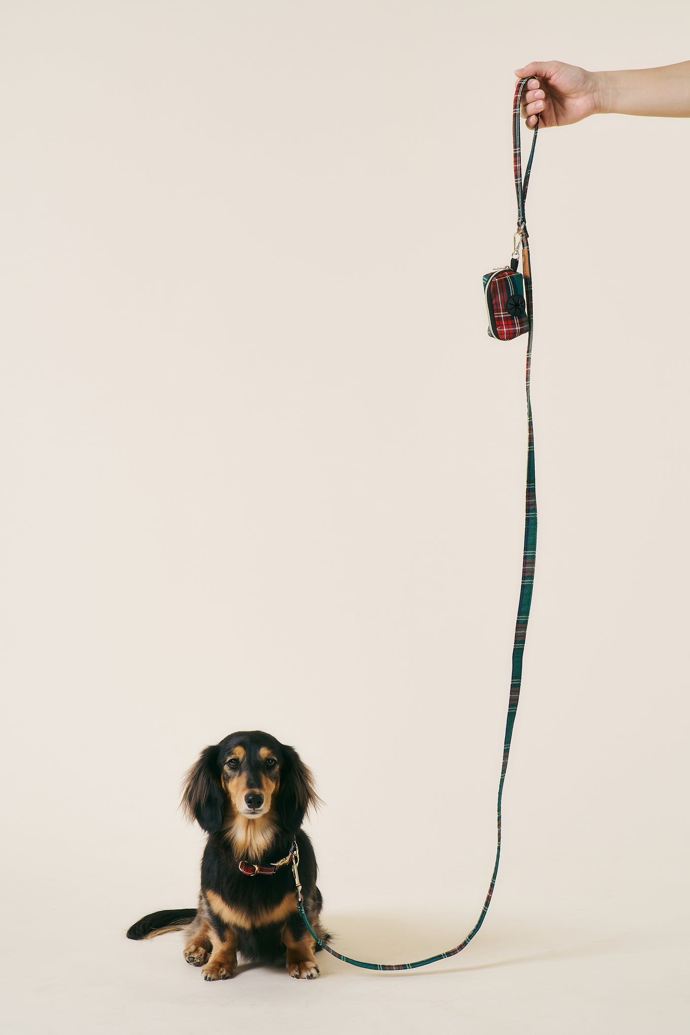 storets.com [COSONNE] Tartan Pet Leash